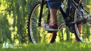 vélo de montagne, journal des citoyens